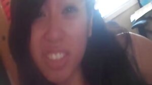 సంస్థ గాడిద