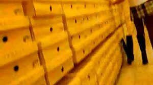 హనీ నీడ్స్ హర్ బట్ తెలుగు సెక్స్ తెలుగు సెక్స్ సెక్స్ ఫిల్డ్